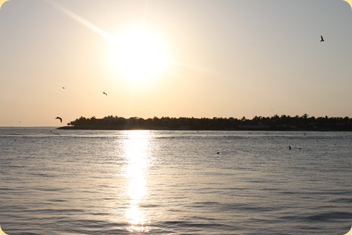 Beautiful Key West 141