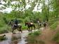 Mundo cabalar de Barro: A Insua reúne a cientos de caballos este fin de semana