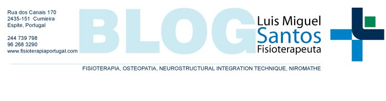 Luis Miguel Santos Fisioterapeuta