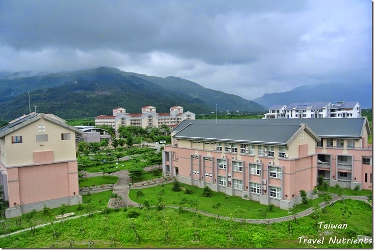 台東大學圖書館 (15)