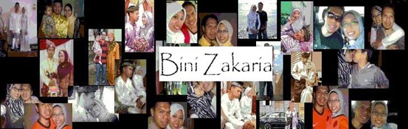 Banner bini