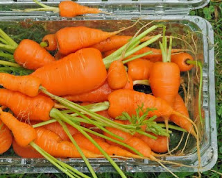 baby carrots from Flickr vibrant_art