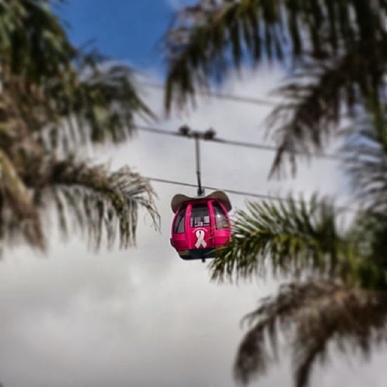 Teleférico Outubro Rosa