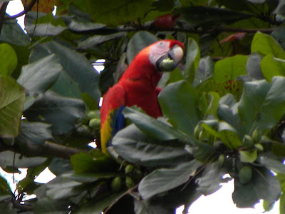 River tour Costa Rica