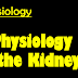 Kidneys Physiology