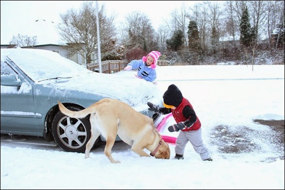 snow19
