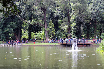 Botanical garden, kebun raya Bogor