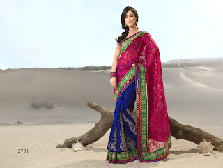 Embroidered Sarees Designs 2013