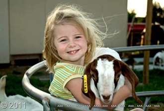 _DSC4050AAA