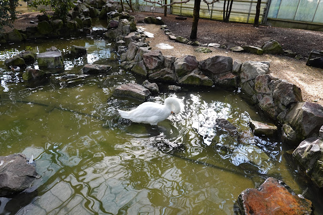 島根県松江市大垣町　松江フォーゲルパーク　水鳥温室