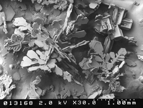 snow-microscope (10)