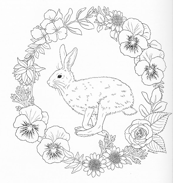 Harmony Of Nature Adult Coloring Book Pg 