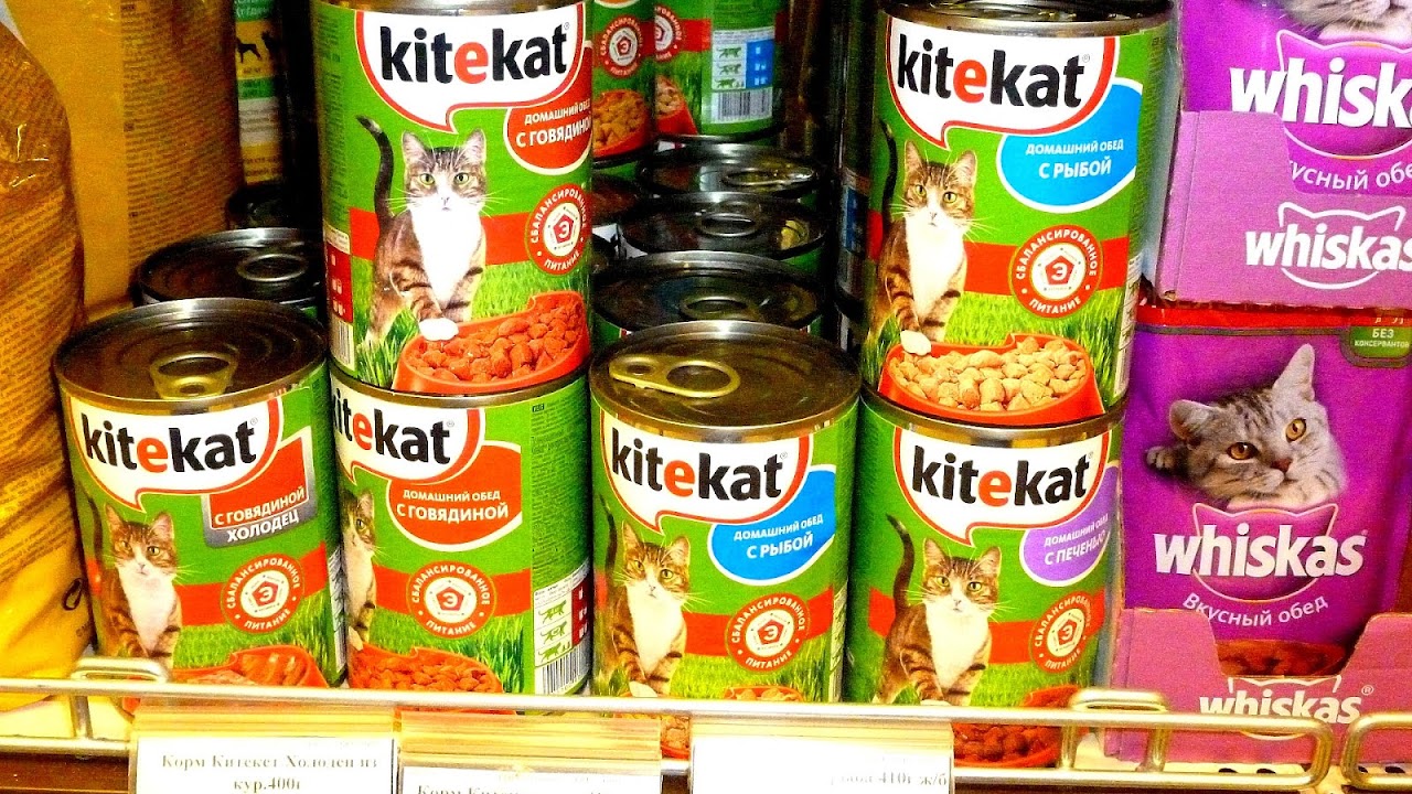 Cat food - Cats Food