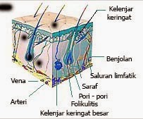 Mengatasi bau ketiak dengan benar