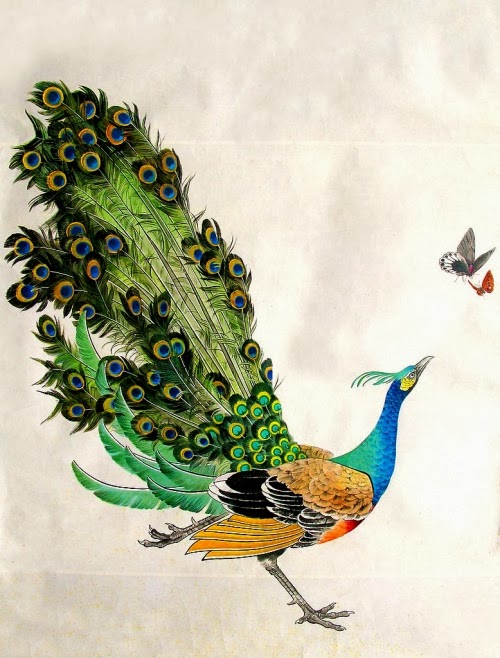  Lukisan Burung Merak Yang Menarik Scripters News