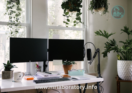 5 Best Ways To Create Your Ultimate Home Office Setup