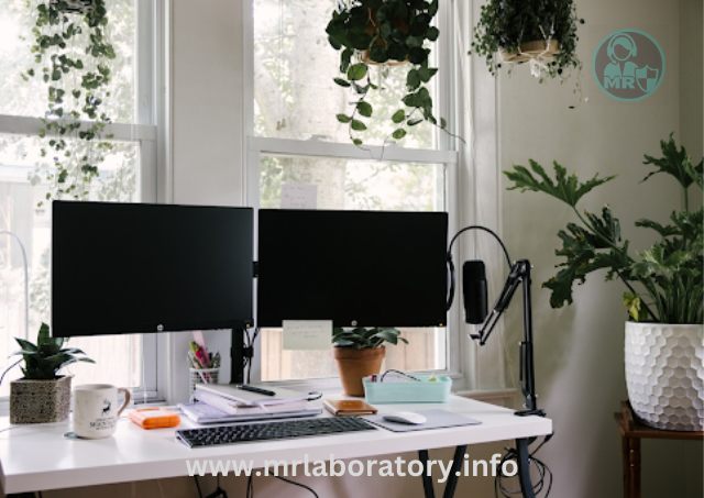 5 Best Ways To Create Your Ultimate Home Office Setup - mrlaboratory