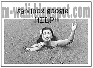 Cara Keluar dari Google Sandbox