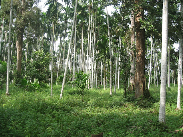 Pengertian Reforma Agraria dan Aspek yang Meliputi Reforma Agraria di Indonesia