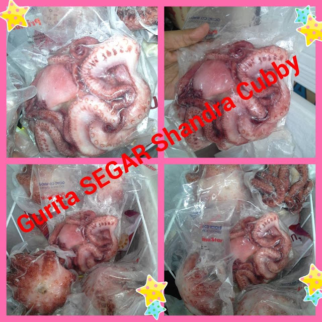 Di Jual Gurita Segar