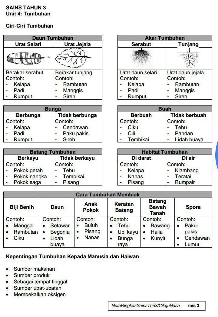 Nota Ringkas Sains Tahun 3 (KSSR)