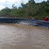 Vídeos: baleias podem viver pelo Rio Amazonas; veja flagras