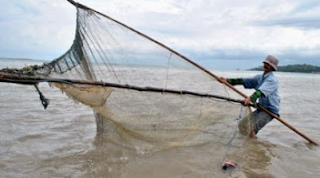 APA YANG DIMAKSUD DENGAN KEGIATAN PENANGKAPAN IKAN