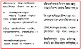 শ্রীমদ্ভাগবতমাহাত্ম্যম্ - প্রথম অধ্যায় - দেবর্ষি নারদের ভক্তির সঙ্গে সাক্ষাৎকার