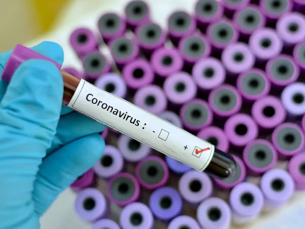 देश के चार राज्यों में कोरोना संक्रमितों की संख्या 46 हजार से अधिक