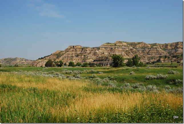 07-03-13 A Teddy Roosevelt NP North (65)