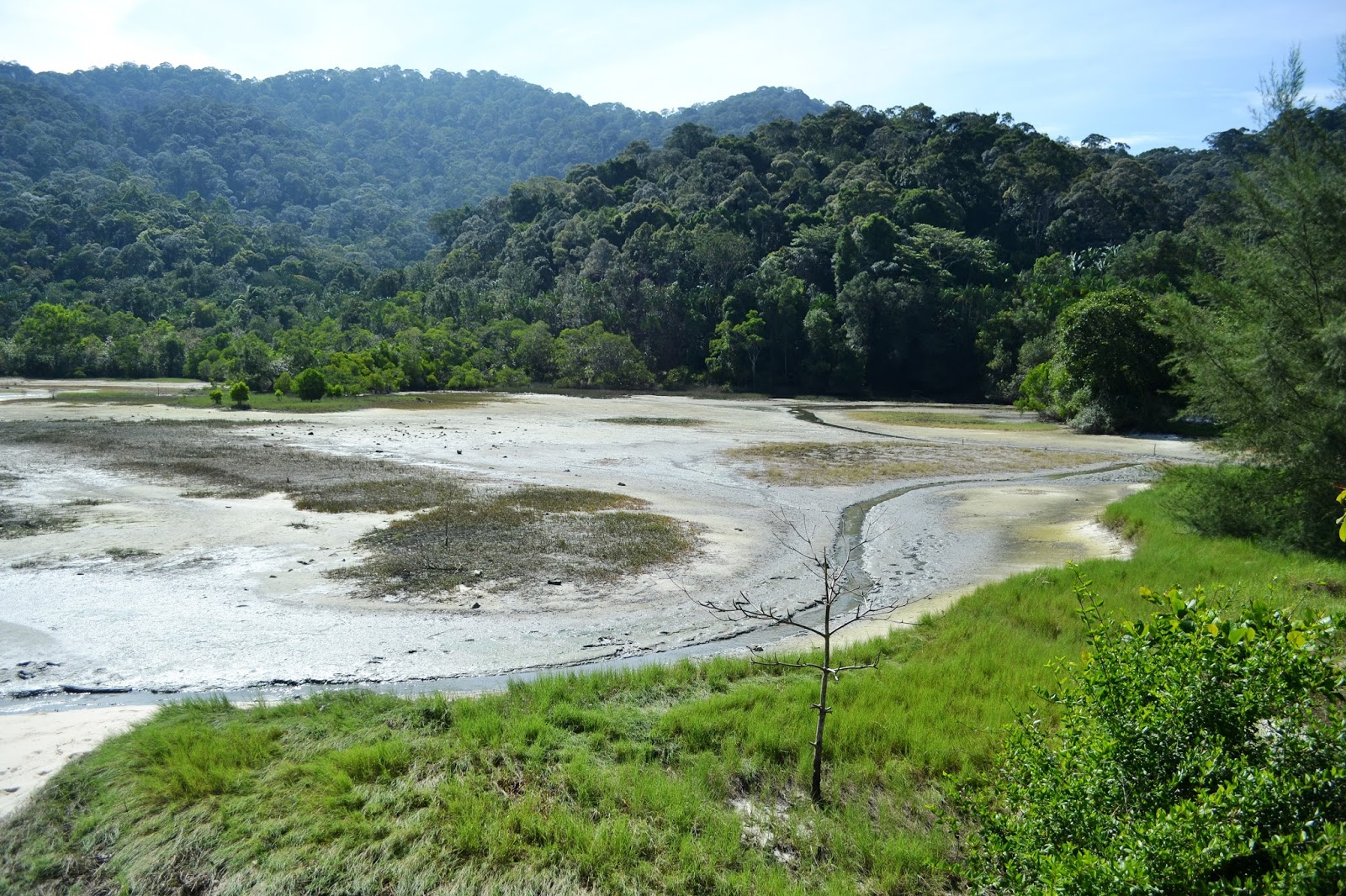 Diari Si Ketam Batu: TAMAN NEGARA PULAU PINANG (PENANG ...