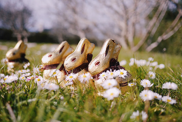 lapin Lindt Pâques