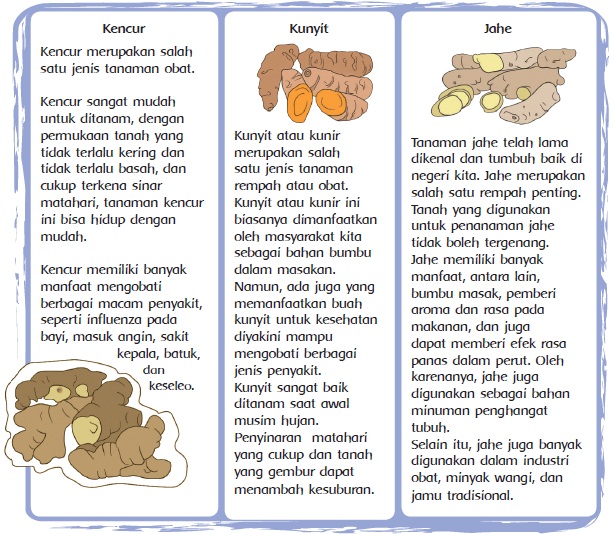  Materi dan Kunci Jawaban Tematik Kelas  Kunci Jawaban Tematik Kelas 4 Tema 3 Subtema 3 Halaman 111, 113, 114