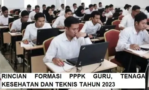 Rincian Jumlah Formasi PPPK Guru, Tenaga Kesehatan dan Teknis Tahun 2023