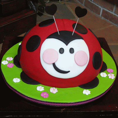 Lady bird themed cake