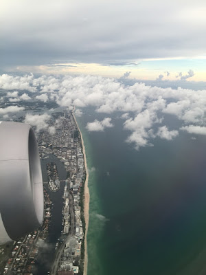 Roman Temkin - South Florida Airplane View