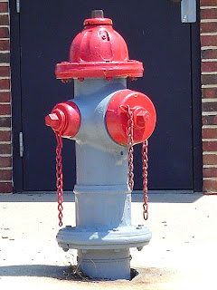 red and blue fire hydrant in the city