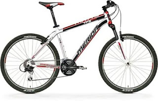 Stolen Bicycle - Merida Mountain Bike