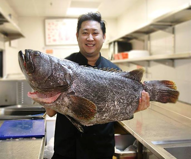 Executive Chef Eric Siew With Goliath Of The Sea