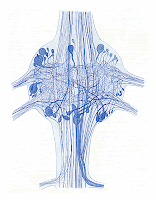 Crayfish abdominal ganglion by Retzius