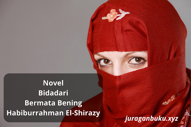 Novel, Bidadari Bermata Bening, pdf, by, Habiburrahman El-Shirazy