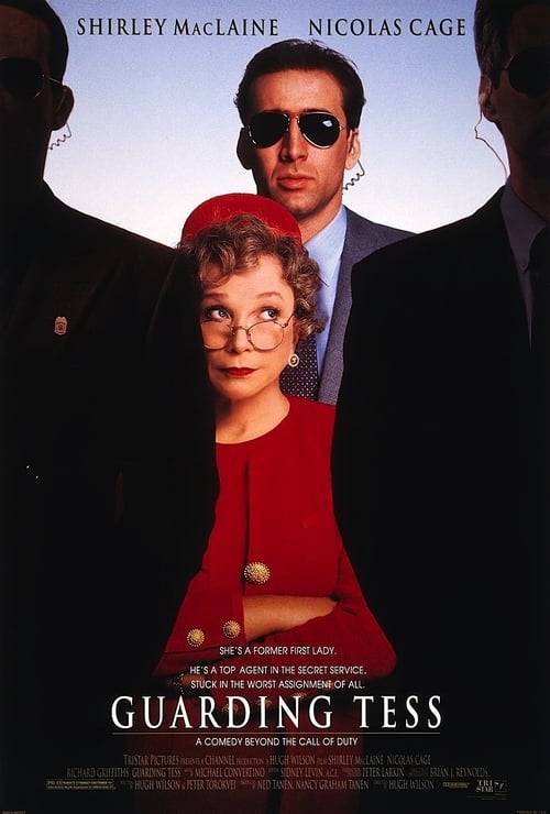 [HD] O Guarda-Costas e a Primeira Dama 1994 Assistir Online Legendado