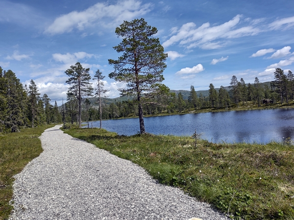 hallingdal flå turufjell stolpejakt