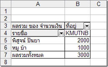 Excel Pivot table3