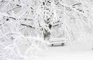 A bench covered in snow.