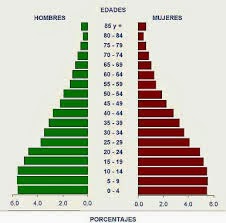 http://www.primaria.librosvivos.net/archivosCMS/3/3/16/usuarios/103294/9/5EP_Cono_cas_ud12_piramide_pobl/frame_prim.swf