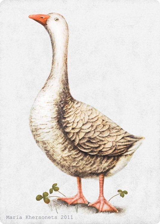 goose Maria Khersonets 