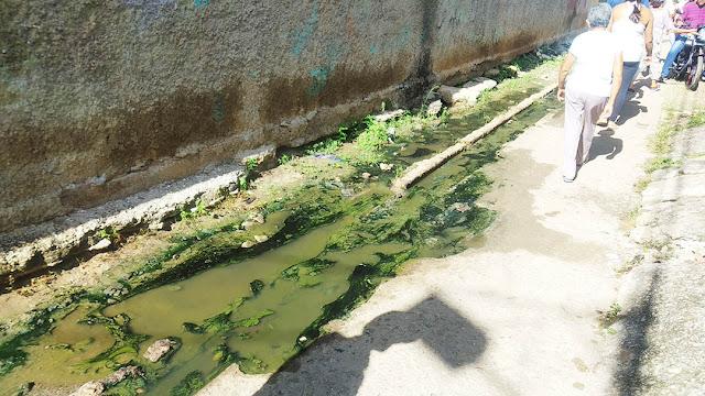 RÍOS DE AGUAS NEGRAS CORREN POR LAS VEREDAS DE CAMPANERO