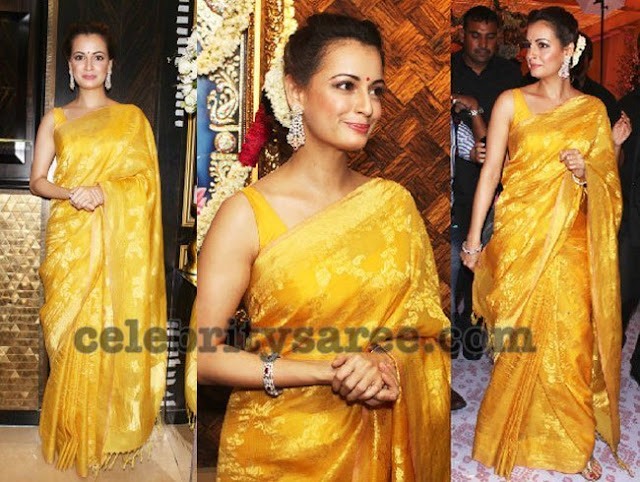 Dia Mirza Latest Silk Sarees