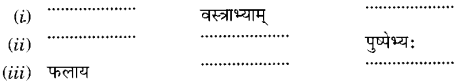 Solutions Class 6 संस्कृत Chapter-6 (समुद्रतटः